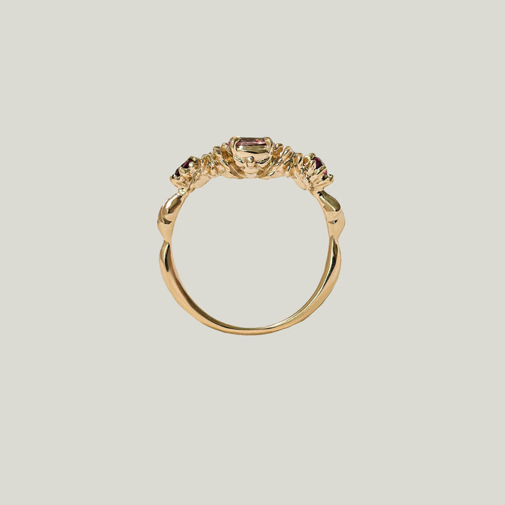 Image for The Garden Ring