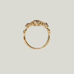 Image for The Garden Ring