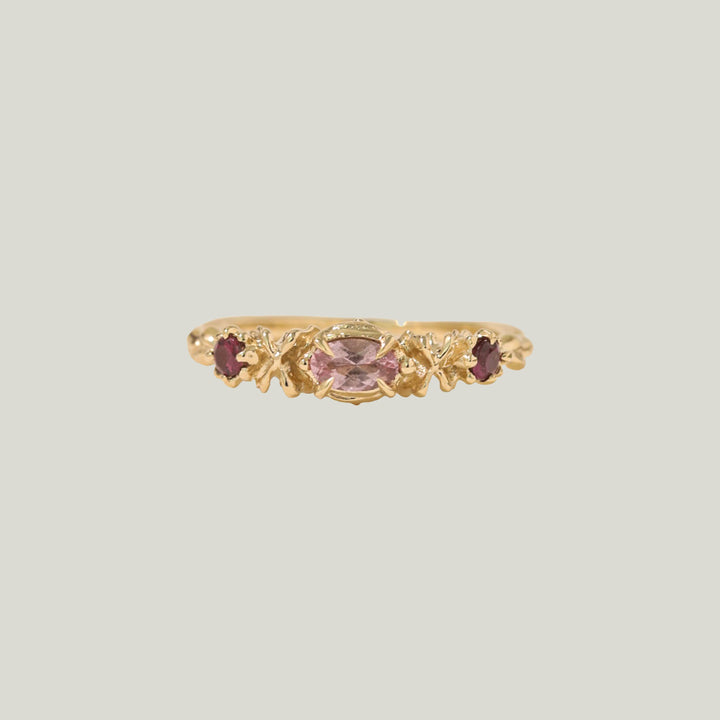 Image for The Garden Ring