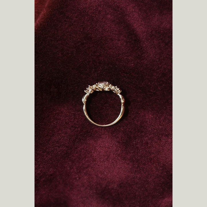 Image for The Garden Ring