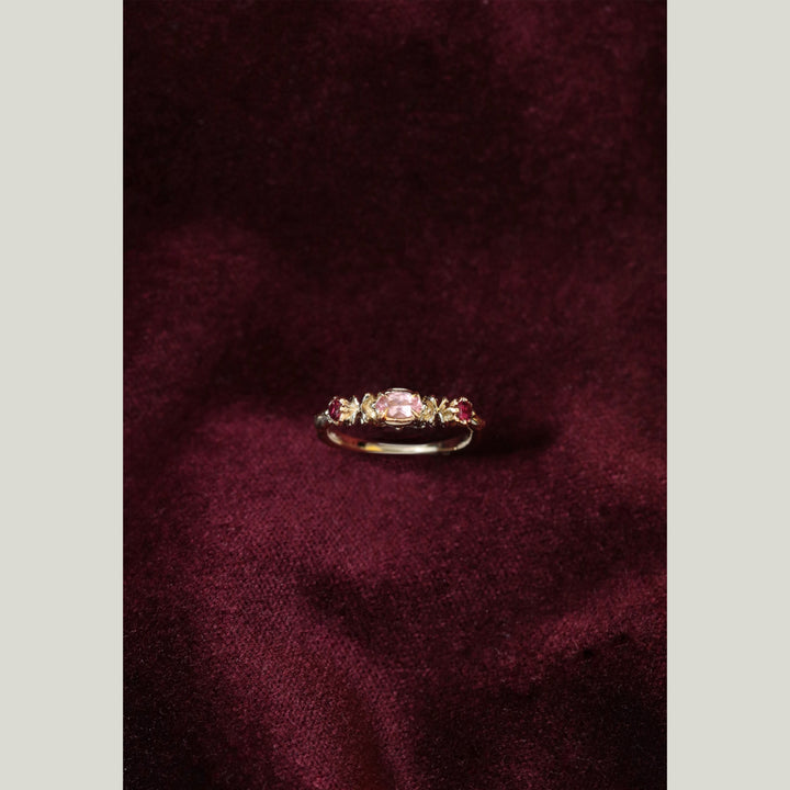 Image for The Garden Ring