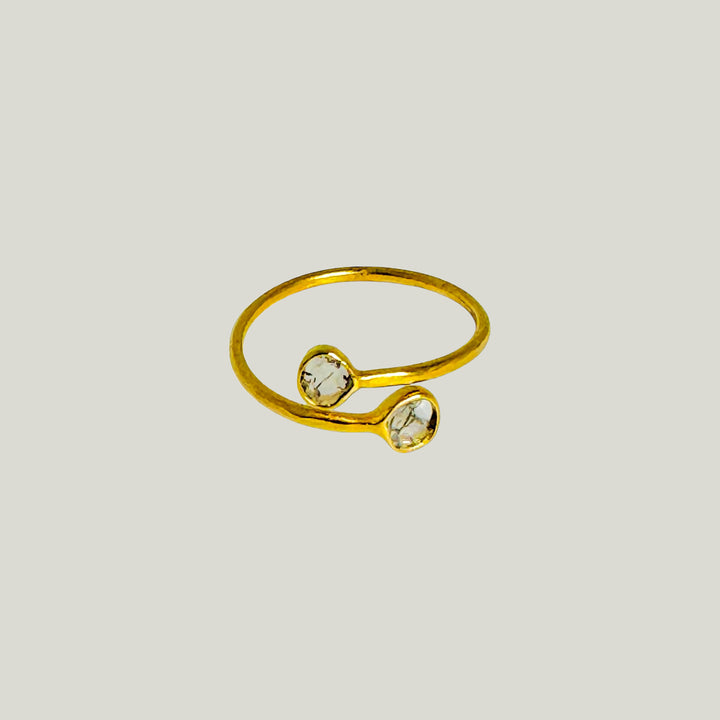 Image for Petal to the Metal Two Diamond Slice Adjustable Ring