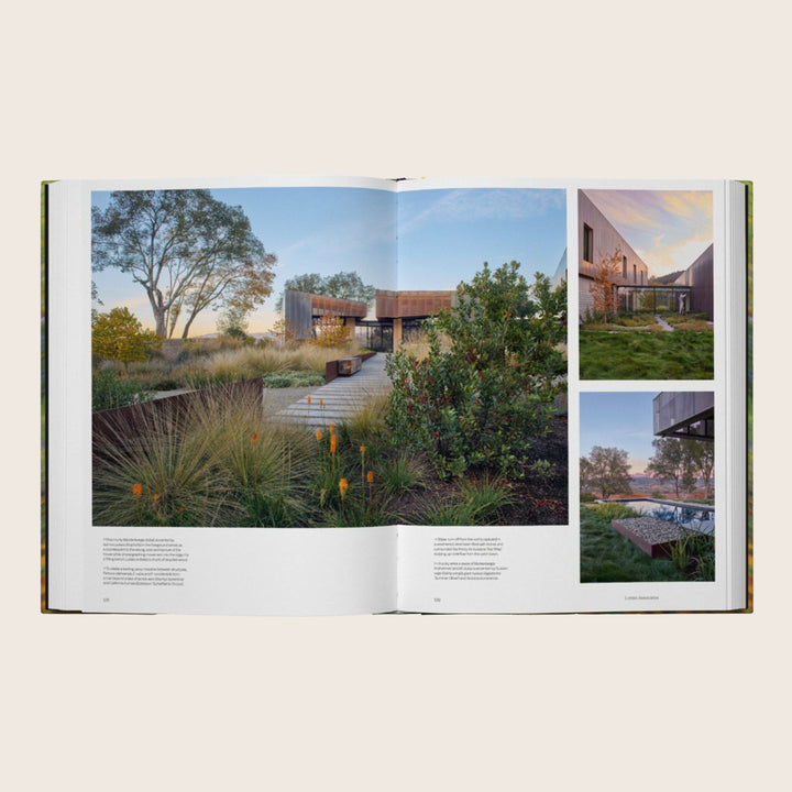 Image for Into the Garden
