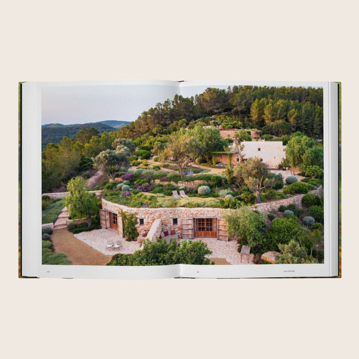Image for Into the Garden