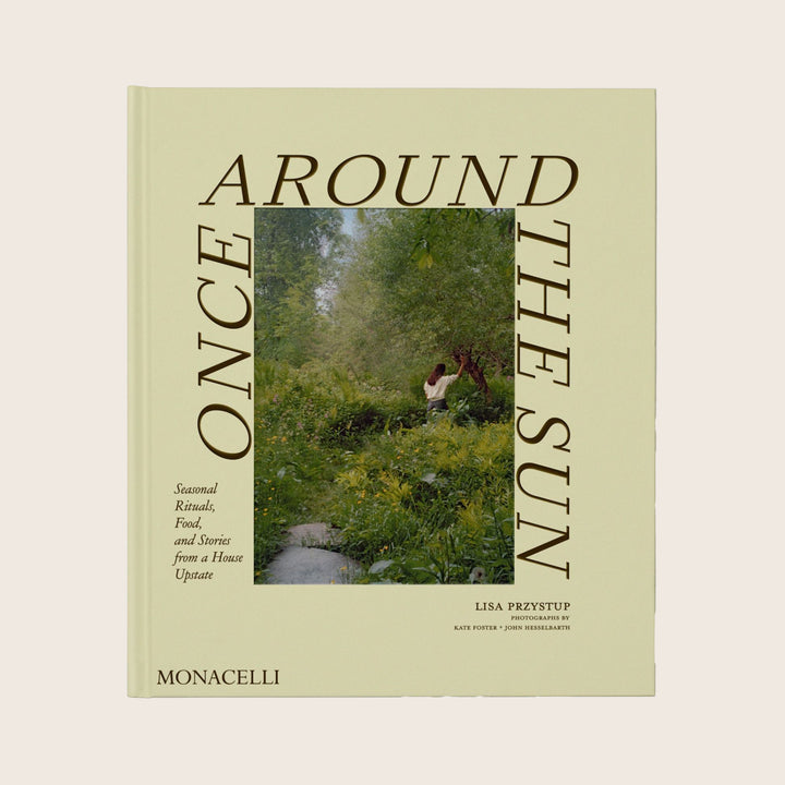 Image for Once Around the Sun
