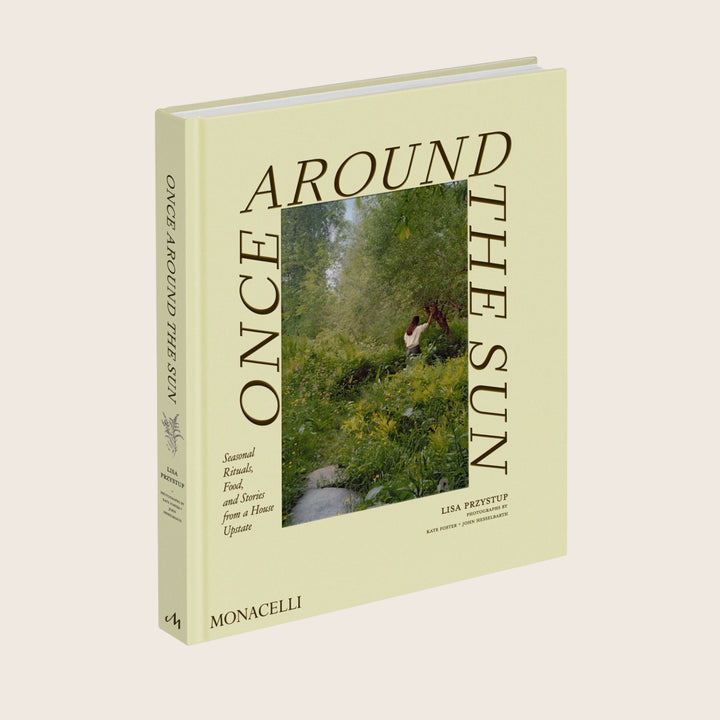 Image for Once Around the Sun