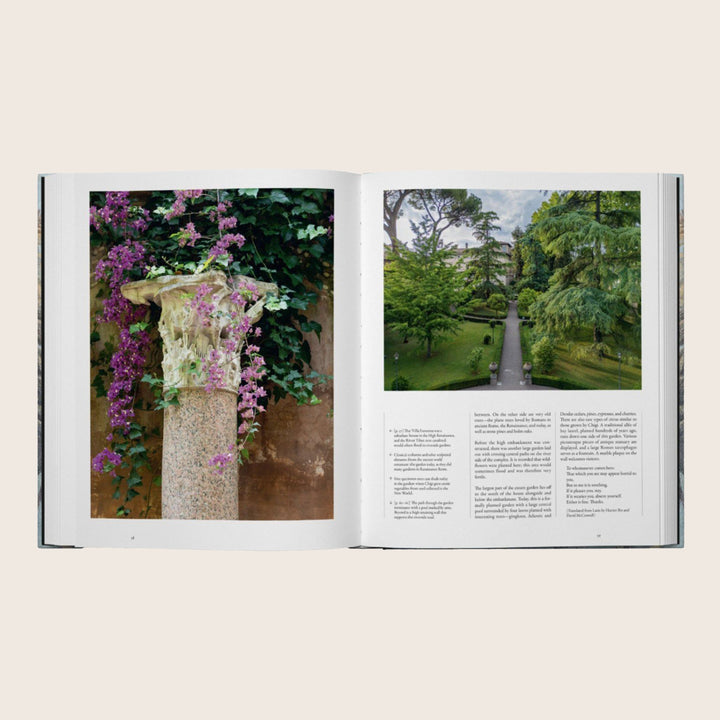 Image for Rome: City of Gardens