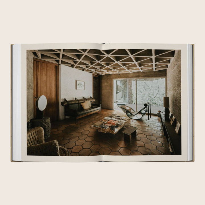 Image for Mesoamerican Modern