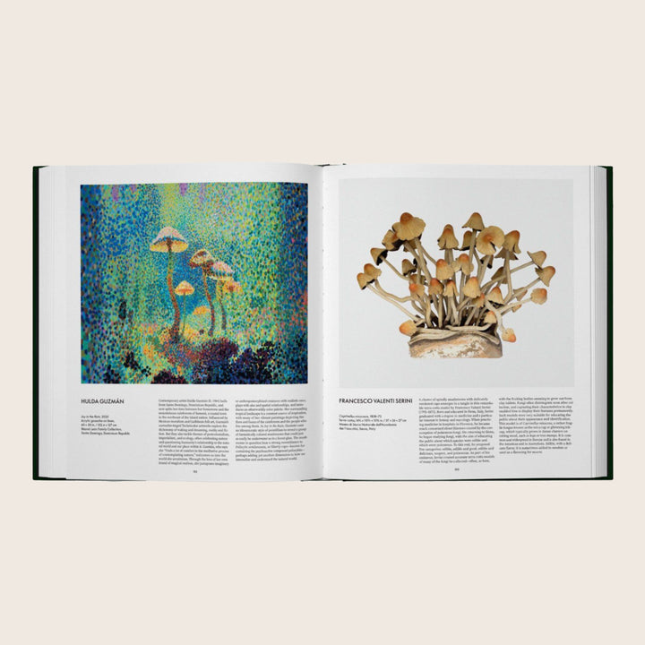 Image for Fungi