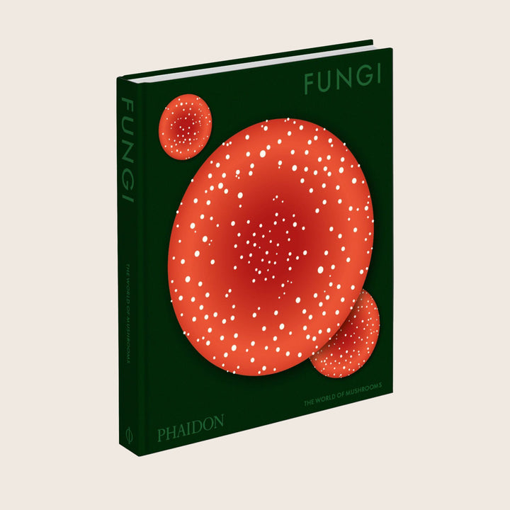 Image for Fungi