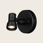 Patterson Picture Light