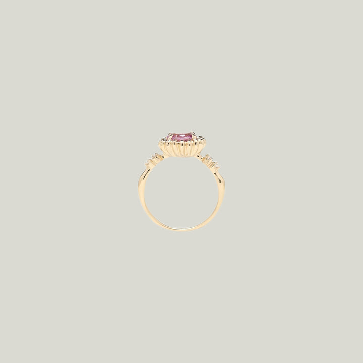 Rohwa Ring