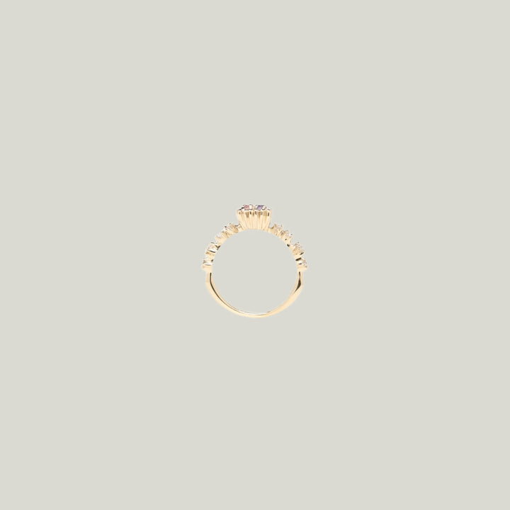 Hwa-Hong Ring