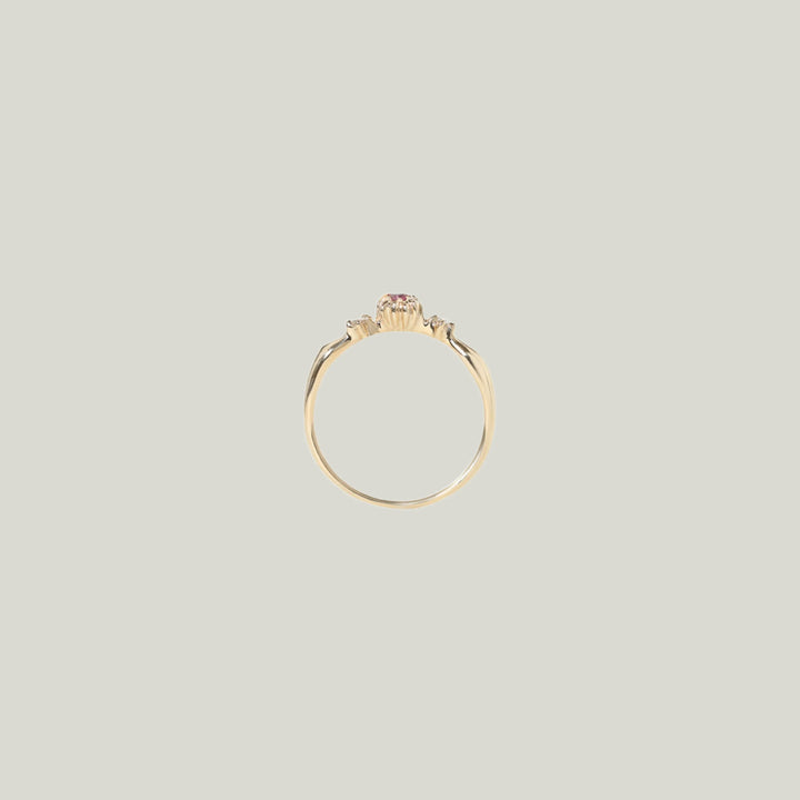 Pomme Ruby Gwah Ring Supreme