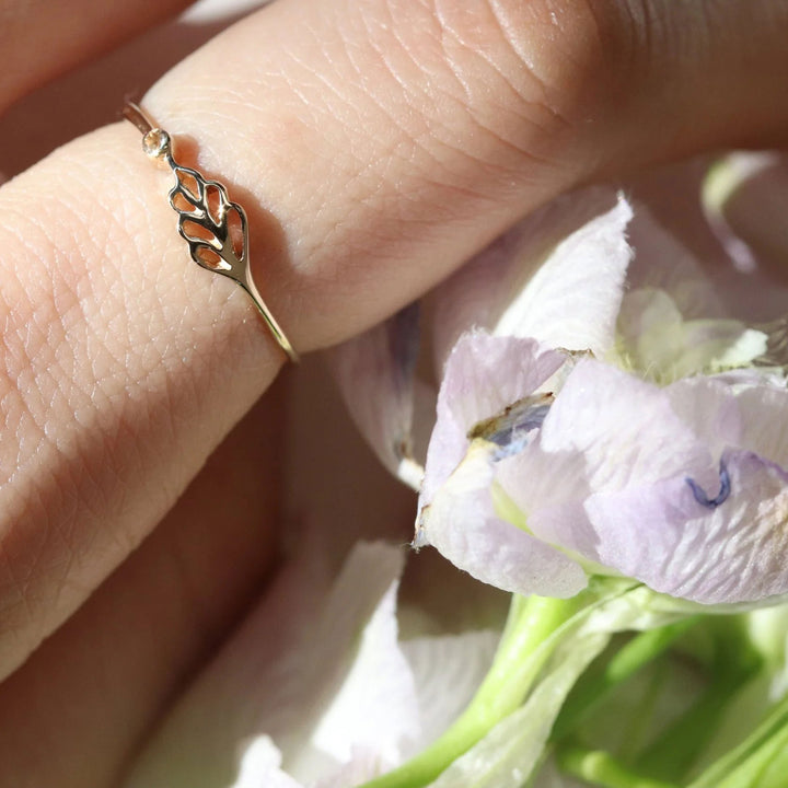 Hwi Ring