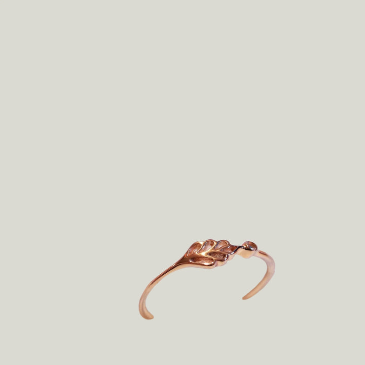 Hwi Ring
