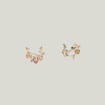 Rose'S Dream Earring (Pair)