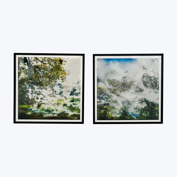Nature-inspired artworks in dreamy, semi-abstract style, evoking tranquility and complexity.