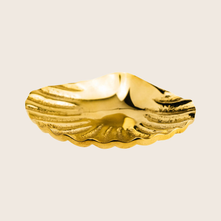 Small Shell Dish