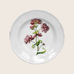 Double Catch Soup Plate