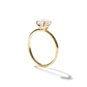 Holly Engagement Ring