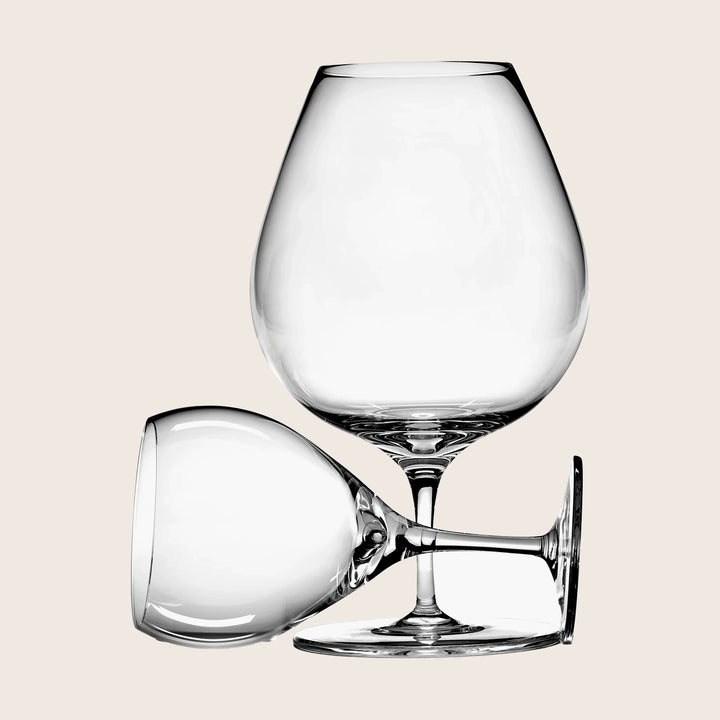 Inku Transparent Red Wine Glass