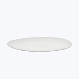 Clear petri dish with minor imperfections on plain white background. - hover