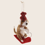 Sledding Dog Ornament