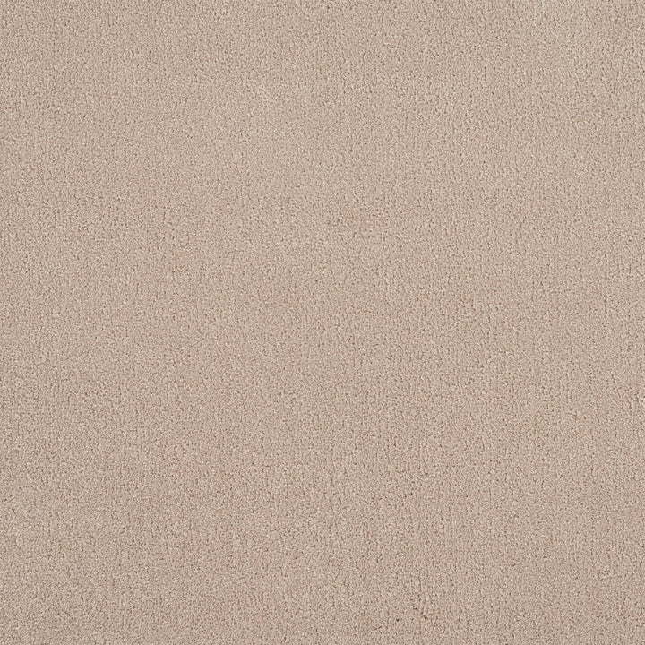 Imprint Custom Carpet