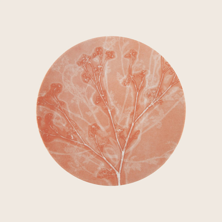Botanique Dinner Plate