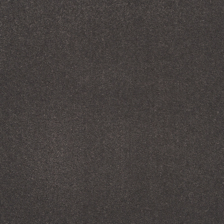 Imprint Custom Carpet