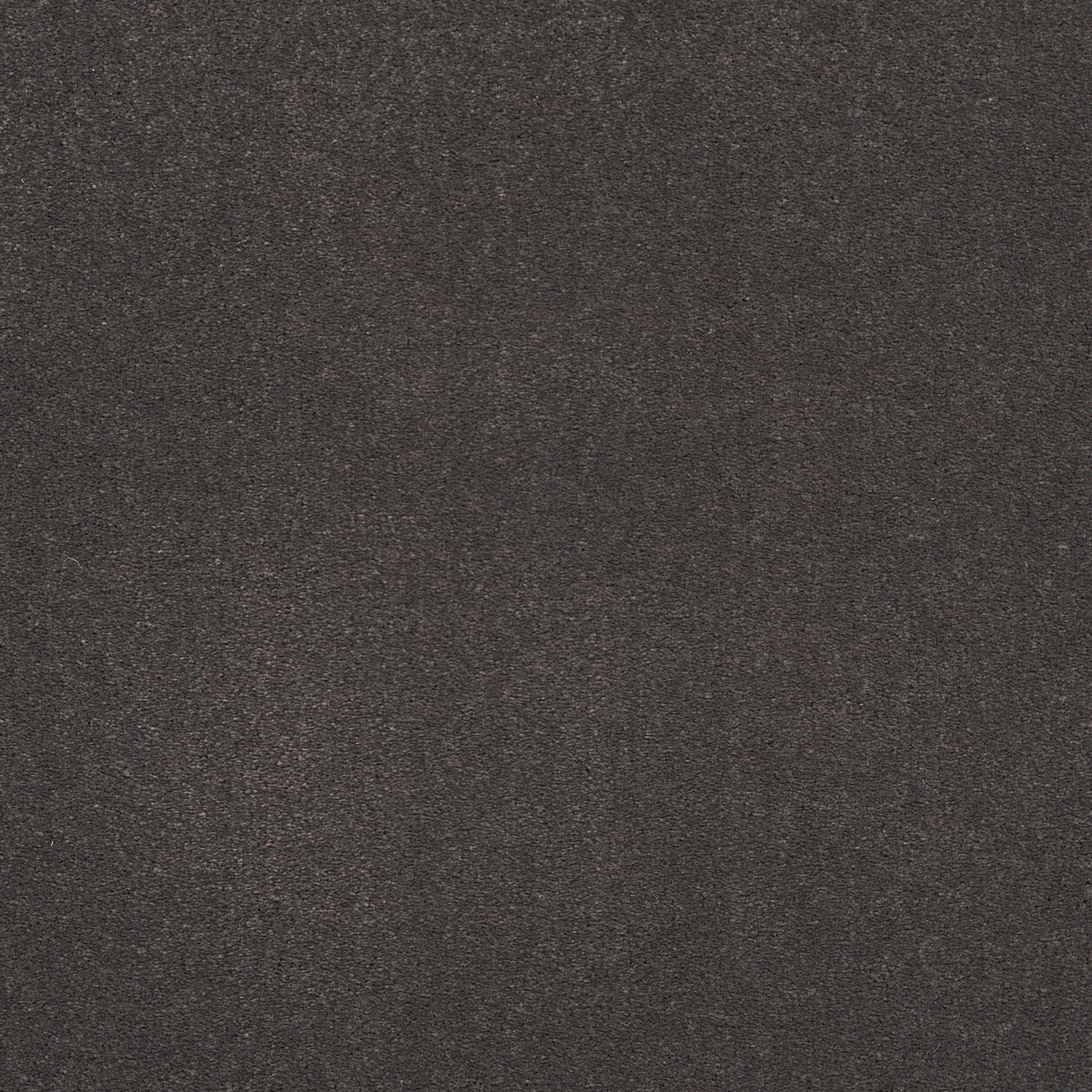 Imprint Custom Sized Rug