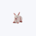 Small Bunny, Pink