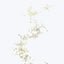 Intricate network of delicate beads on white background, elegant design.