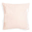 Luminous Velvet Pillow-Petal
