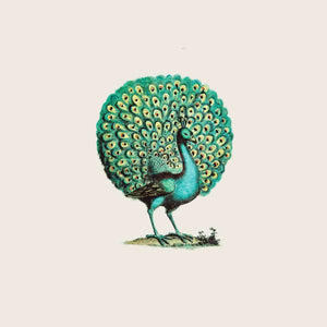 Peacock Plate Default Title