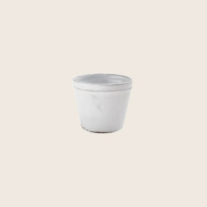 Single white disposable paper cup with rolled rim on white.