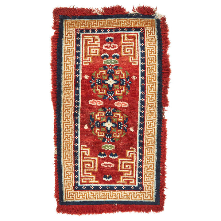 Hand-woven oriental-style rug featuring intricate symmetrical pattern design