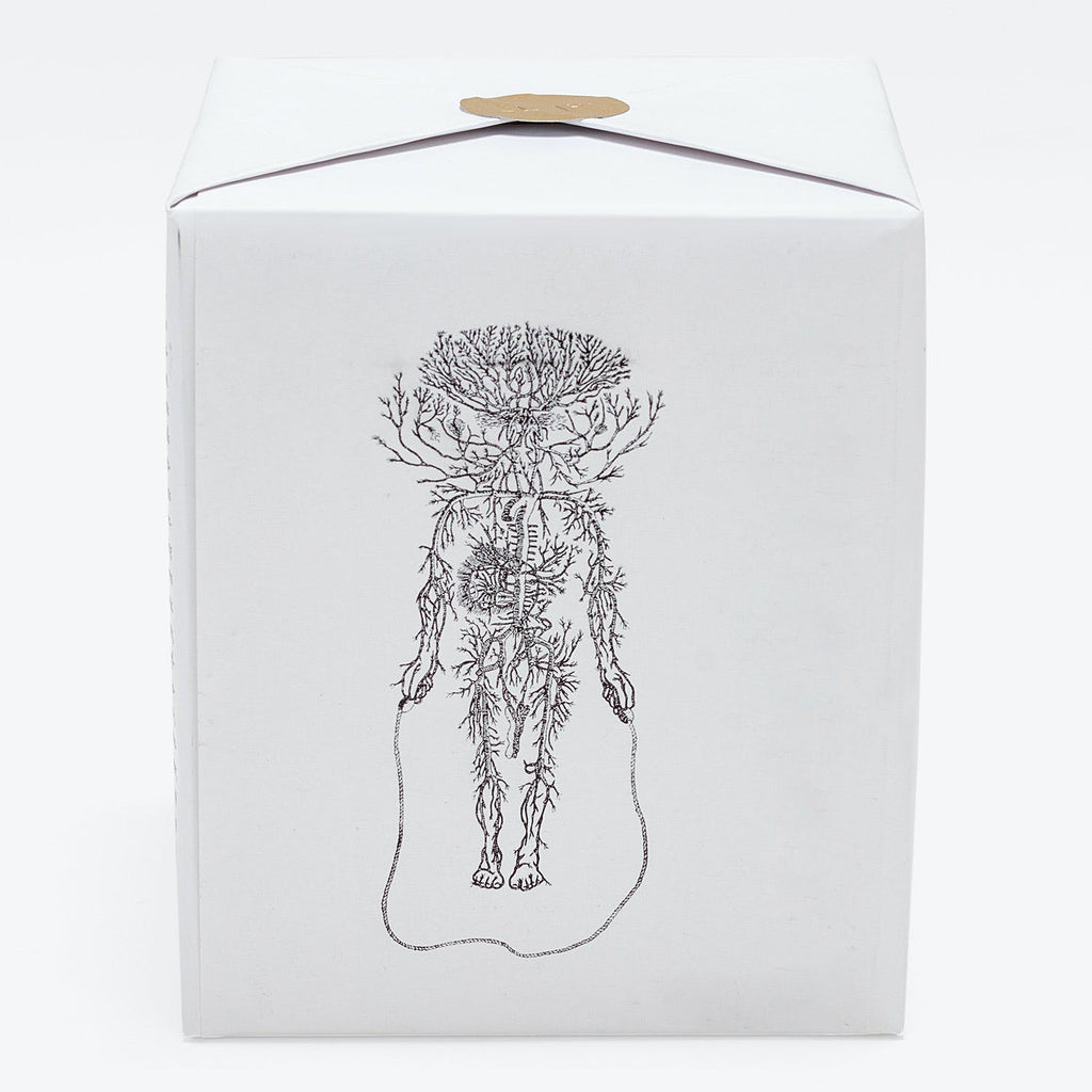 Artistic packaging with intricate tree-human fusion illustration, suggesting nature connection.