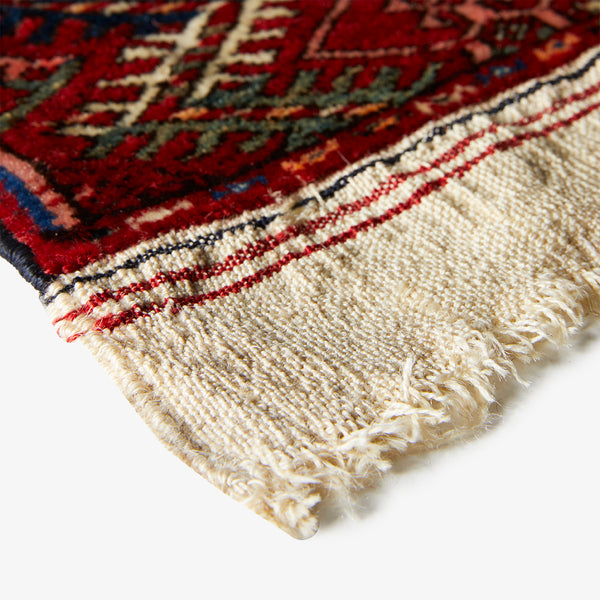 Close-up of an oriental rug corner exhibiting intricate patterns and hand-knotted fringe.