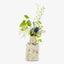 Ash Cloud Mini Rectangular Vase, White