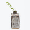 Rustic ceramic vase with speckled glaze holds a vibrant plant.