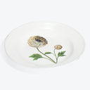 Ranunculus Soup Plate