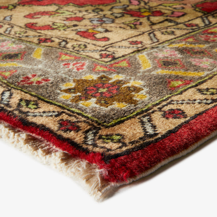 Close-up view of a vibrant, floral-patterned rug with intricate details.
