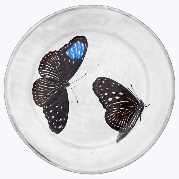 Two butterflies on glass surface with reflective luminescent appearance.