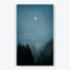 Moon shines amidst misty nocturnal forest creating an ethereal atmosphere.