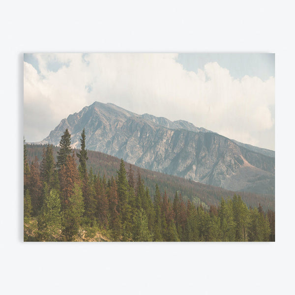 Captivating mountainous landscape with coniferous forest and rugged terrain.