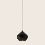 Contemporary pendant light with matte black finish emits warm glow.