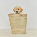 Serene golden retriever puppy rests in a cozy woven basket.