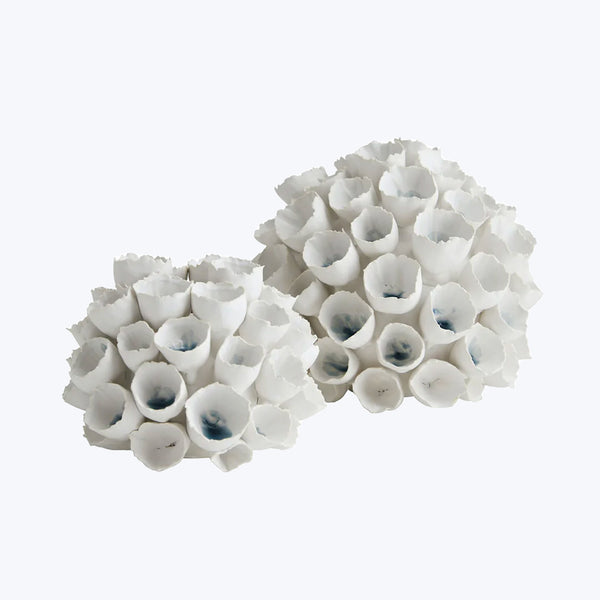 Abstract coral-like sculptures on a white background create an artistic display.